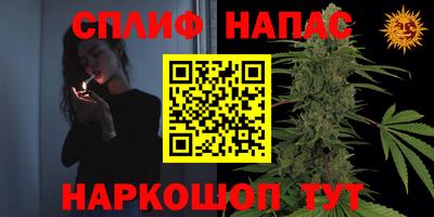 стаф Нарткала