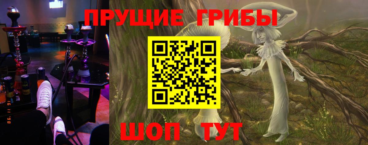 Галлюциногенные грибы Magic Shrooms Татарск