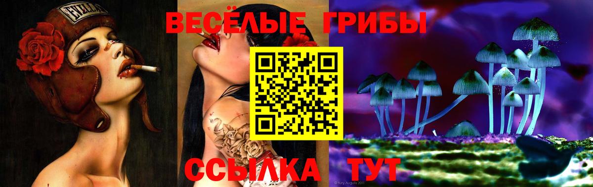 Псилоцибиновые грибы Psilocybe  Вход с VPN  цены наркотик  Татарск  Галлюциногенные грибы Cubensis 