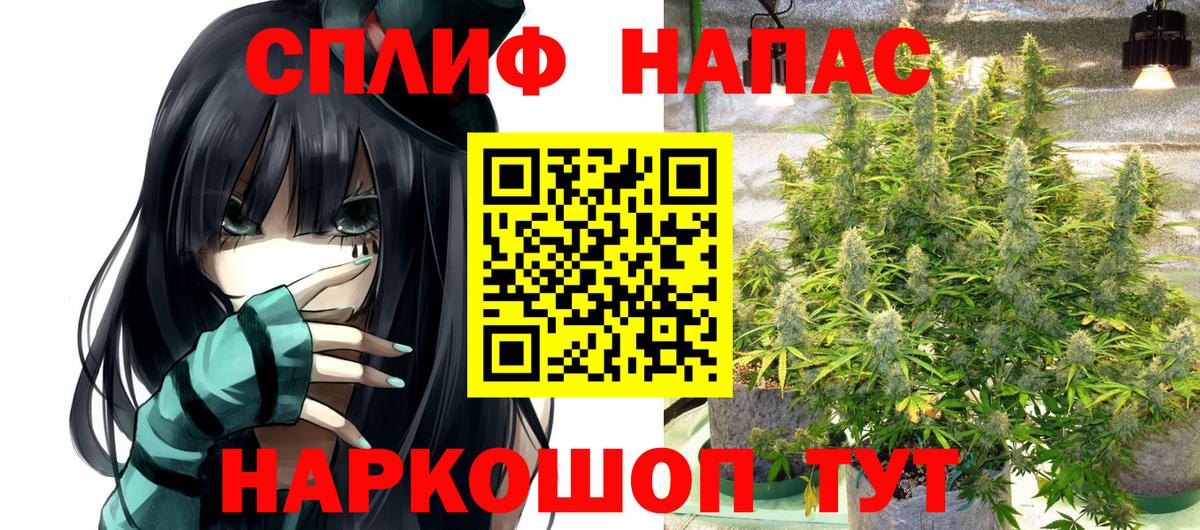 Бошки марихуана индика  Марихуана семена  Шишки марихуана план  Вход с VPN  Татарск 